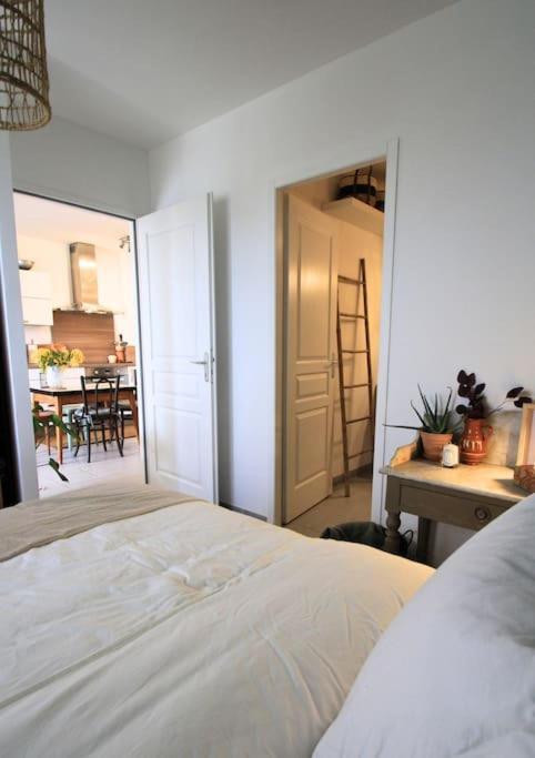 Cosy Appartement Entre Vignes Et Garrigue Avec Piscine Péret Eksteriør billede